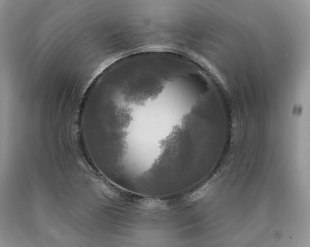 X0000090771170200707201432