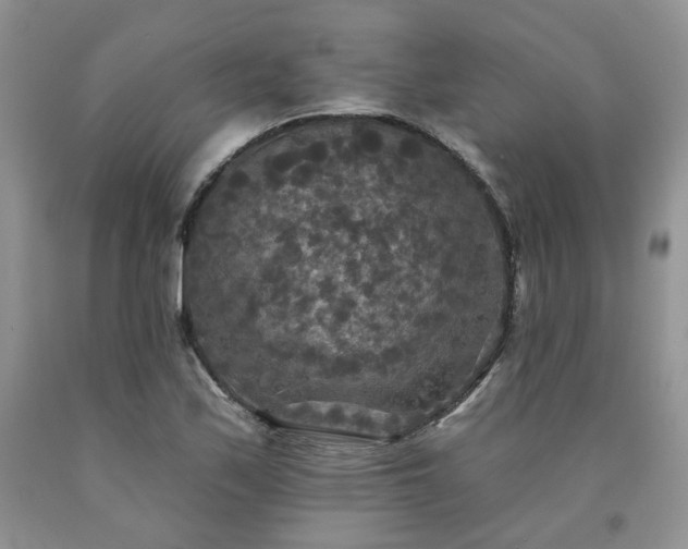 X0000090771171200707201432