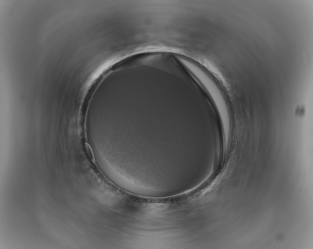 X0000090771173200707201432
