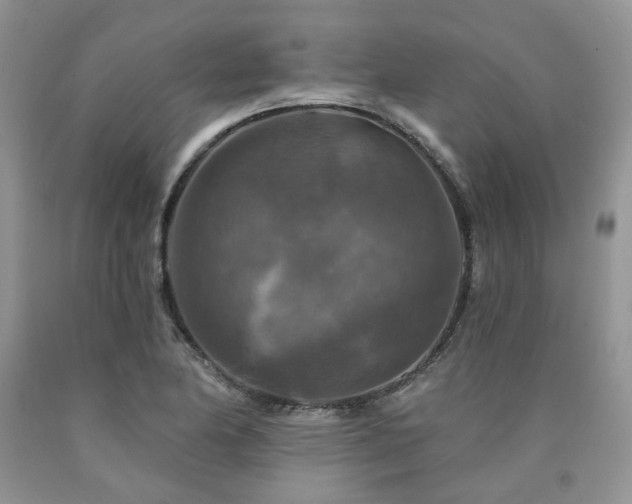 X0000090771174200707201432