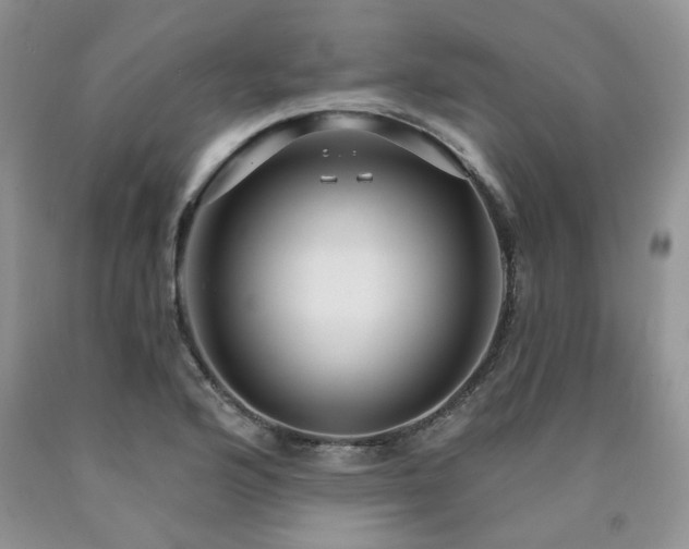 X0000090771176200707201432