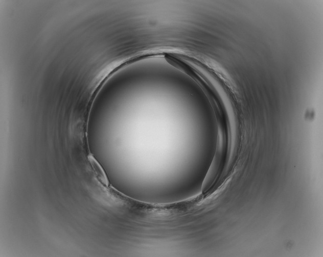 X0000090771177200707201432