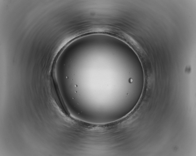 X0000090771178200707201432