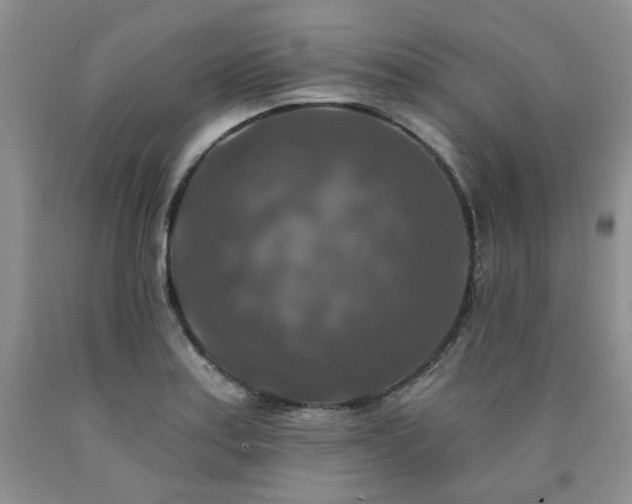 X0000090771179200707201432