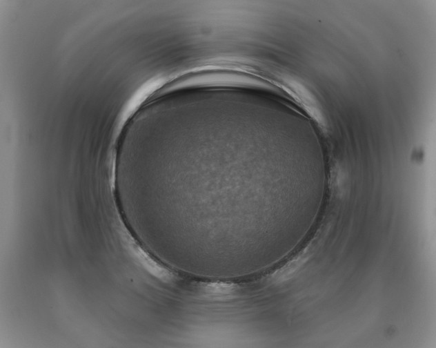 X0000090771180200707201432