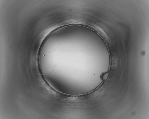 X0000090771182200707201432