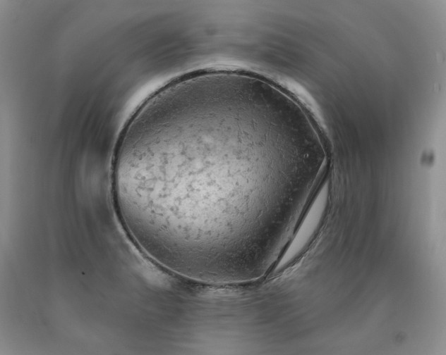 X0000090771183200707201432