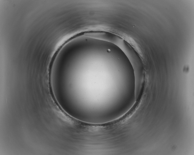 X0000090771184200707201432