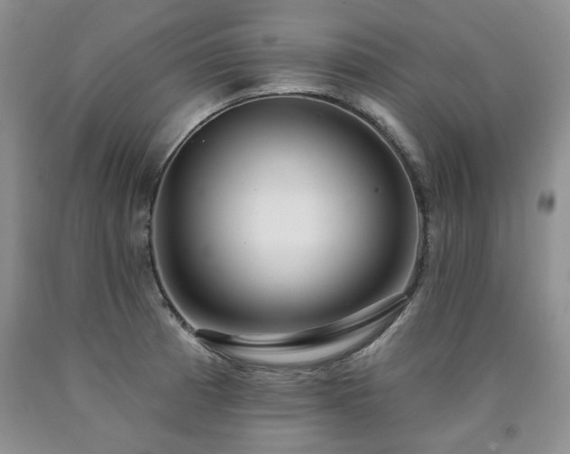 X0000090771185200707201432