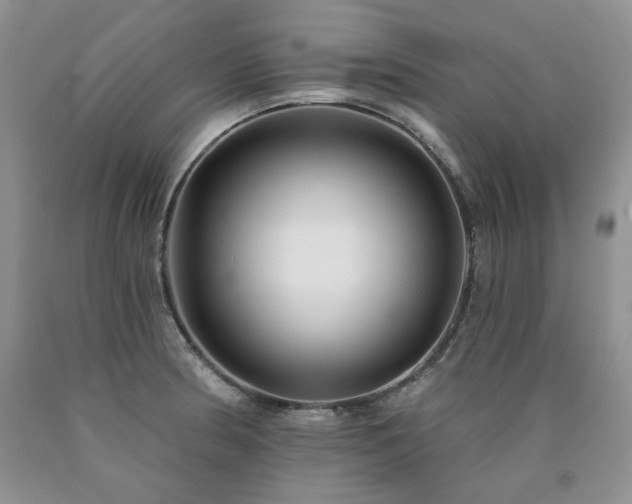 X0000090771186200707201432