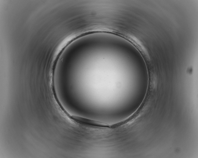 X0000090771188200707201432