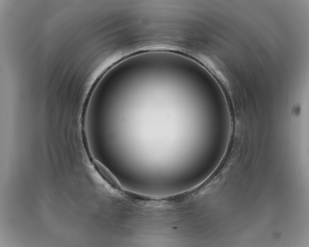 X0000090771189200707201432