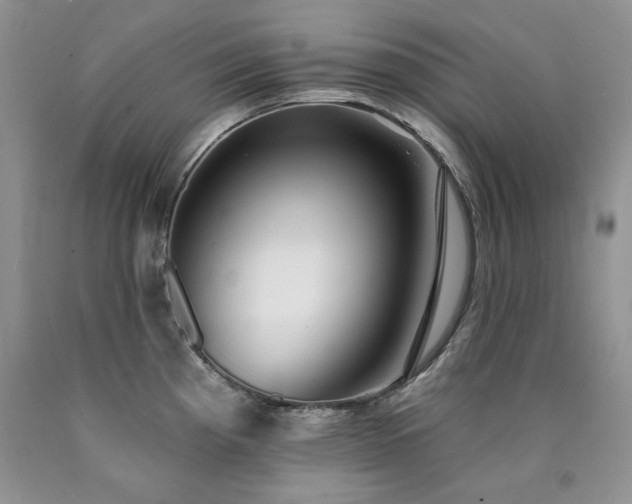 X0000090771193200707201432