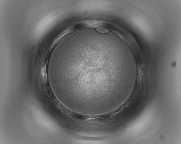 X0000090771198200707201432