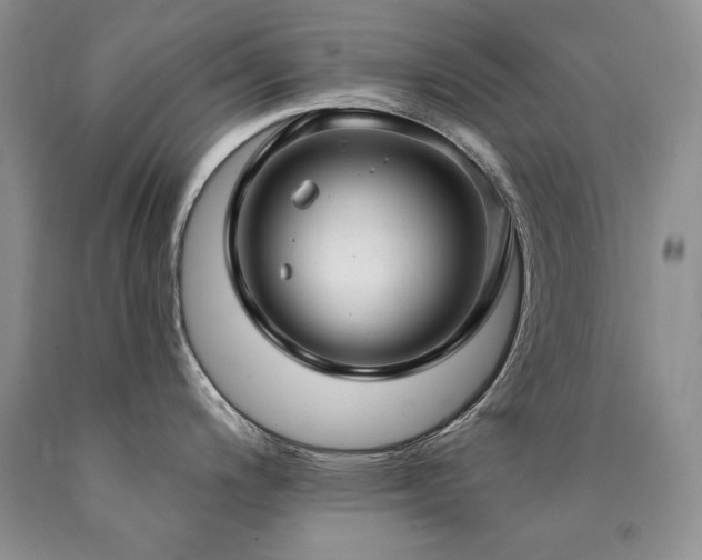 X0000090771200200707201432