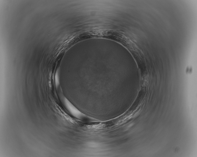 X0000090771202200707201431