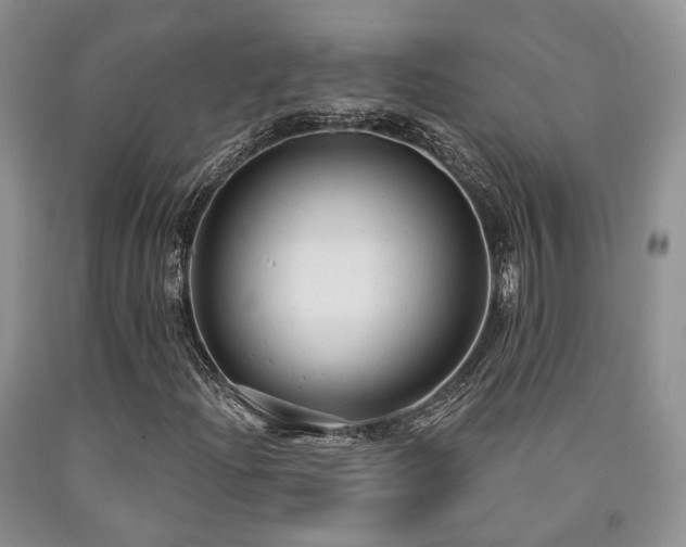 X0000090771204200707201431