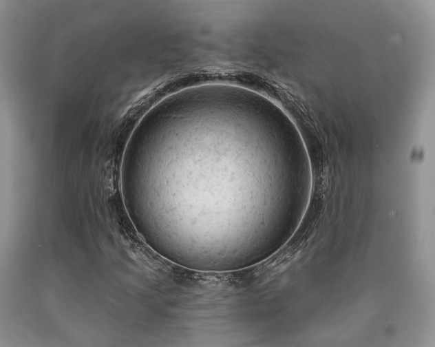X0000090771205200707201431