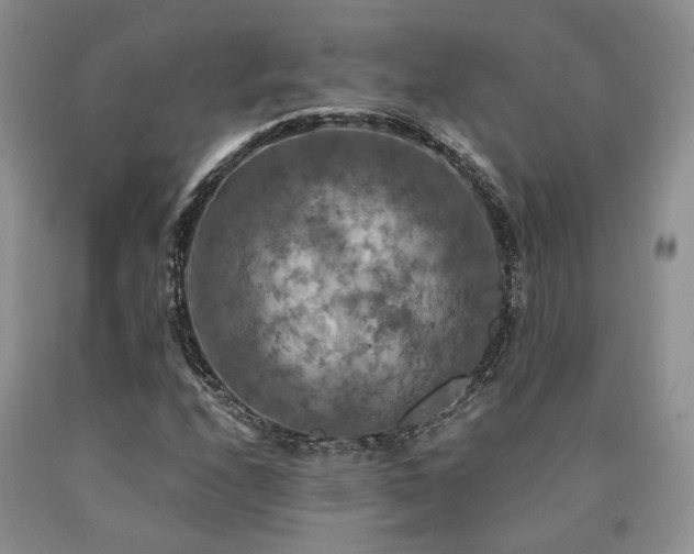 X0000090771208200707201431
