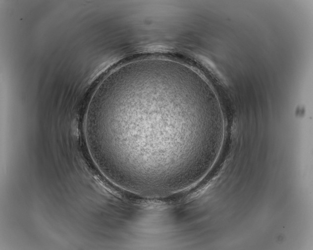X0000090771209200707201431