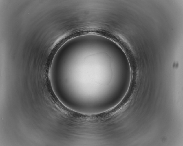 X0000090771210200707201431