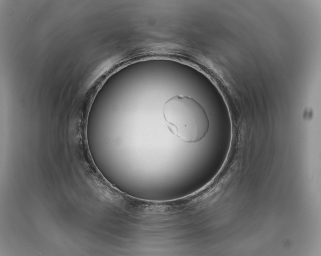 X0000090771211200707201431