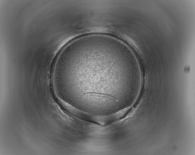 X0000090771212200707201431