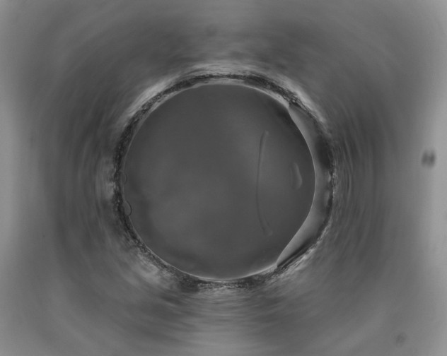X0000090771213200707201431