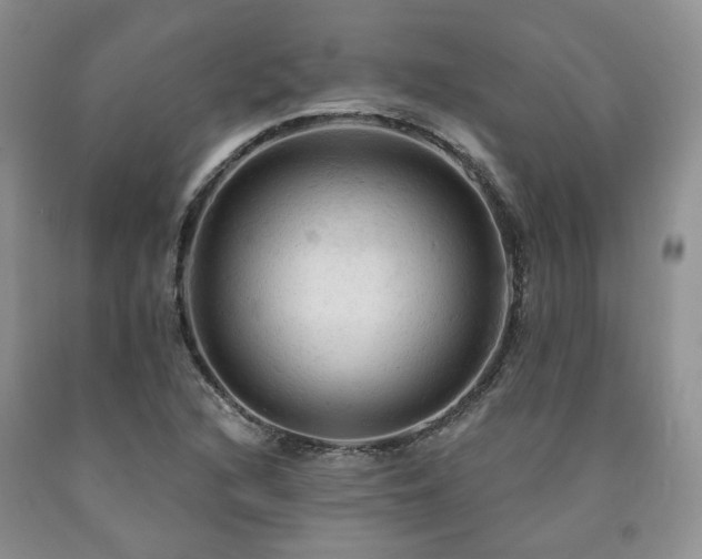 X0000090771216200707201431