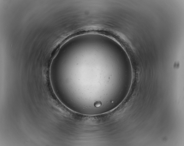 X0000090771217200707201431