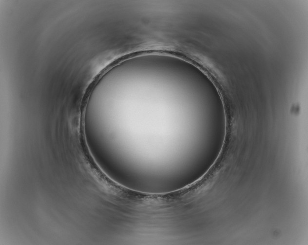 X0000090771220200707201432