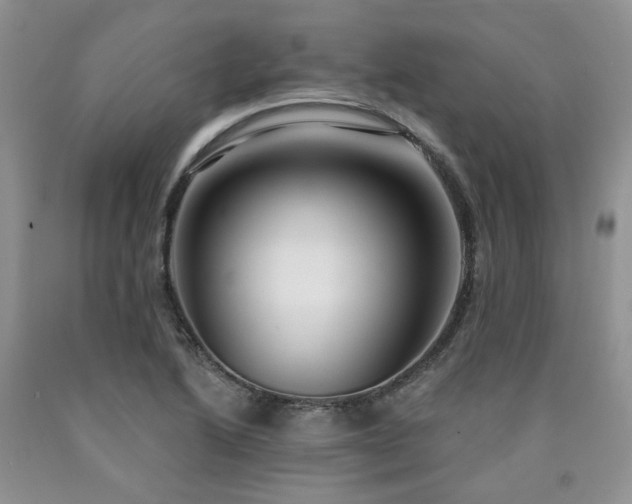 X0000090771222200707201432