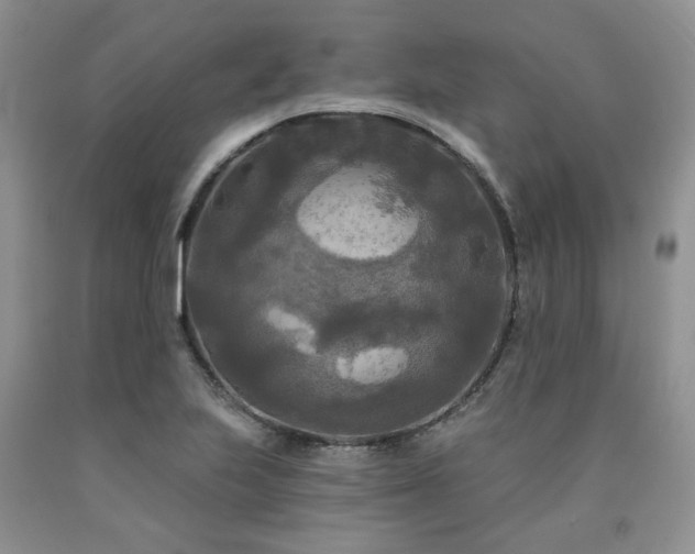 X0000090771223200707201432
