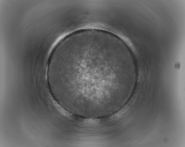 X0000090771224200707201432