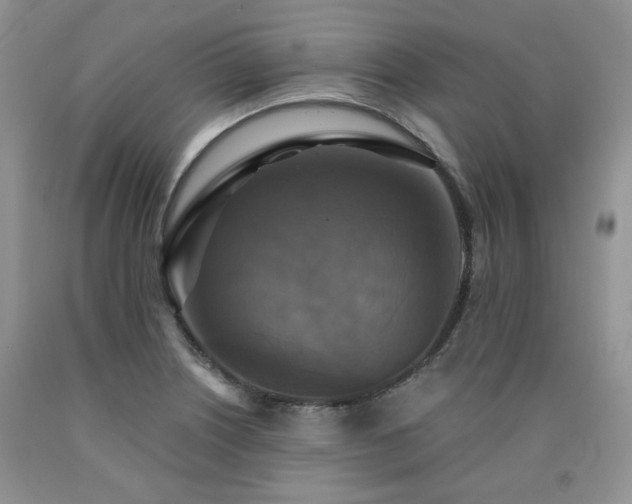 X0000090771226200707201432