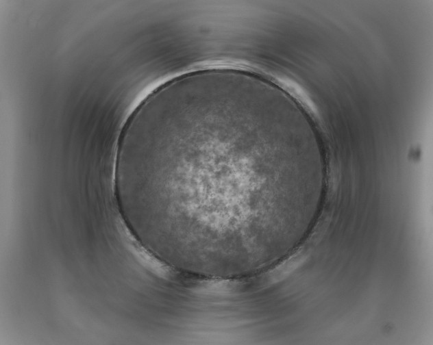 X0000090771228200707201432