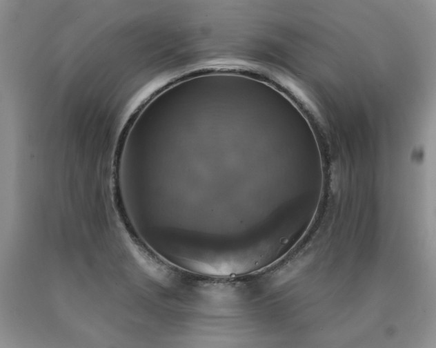 X0000090771229200707201432