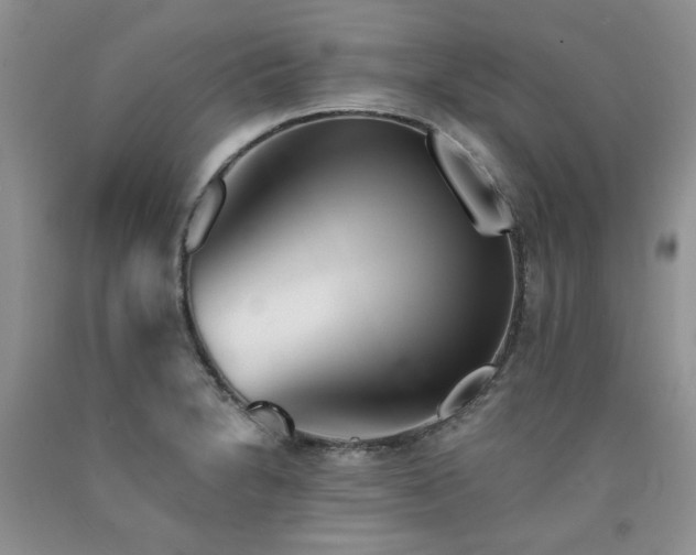 X0000090771230200707201432
