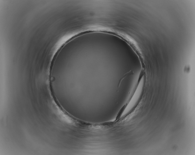 X0000090771231200707201432