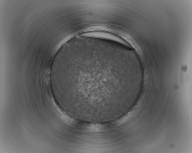 X0000090771233200707201432