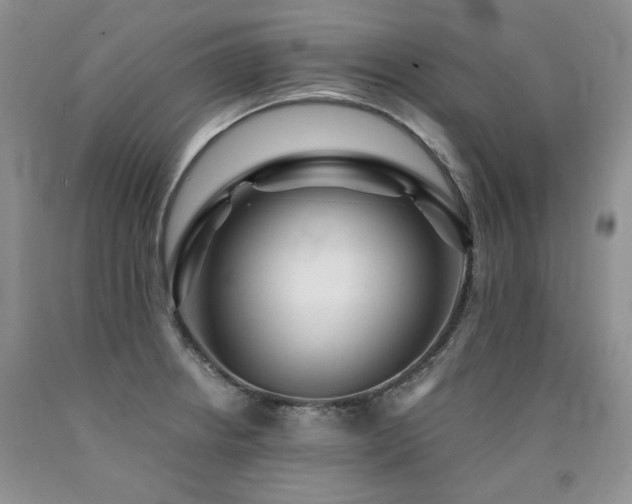X0000090771234200707201432