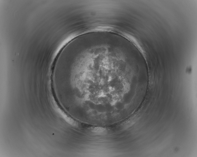 X0000090771235200707201432