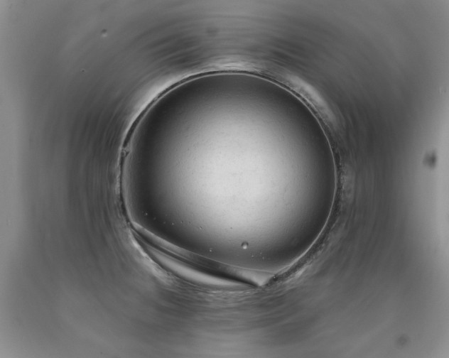 X0000090771236200707201432