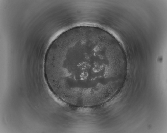 X0000090771237200707201432