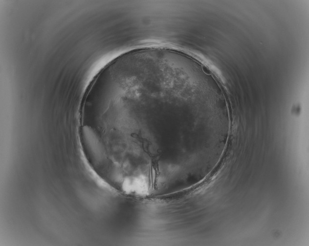 X0000090771239200707201432