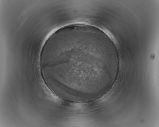 X0000090771240200707201432