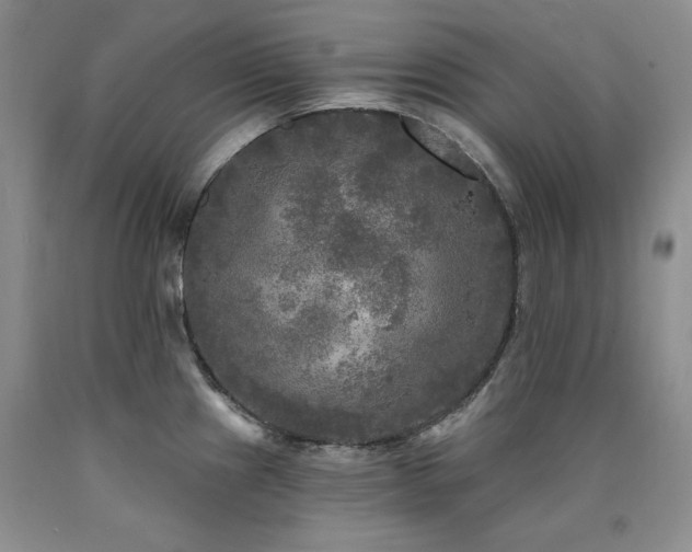 X0000090771241200707201432