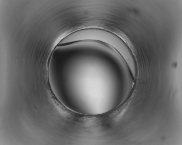 X0000090771242200707201432