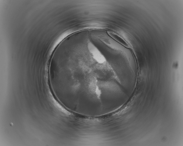 X0000090771243200707201432