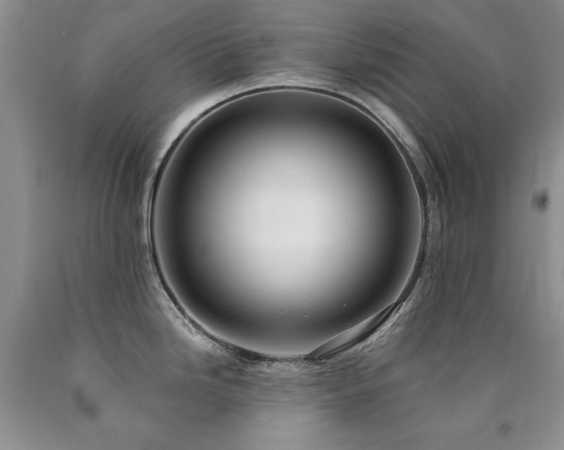 X0000090771246200707201432